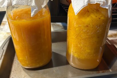 Thumbnail for 🍑 Managing the Ferment (Days 1–7)