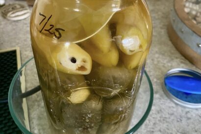 Thumbnail for Th e brine tastes tangy-spicy instead of salty.