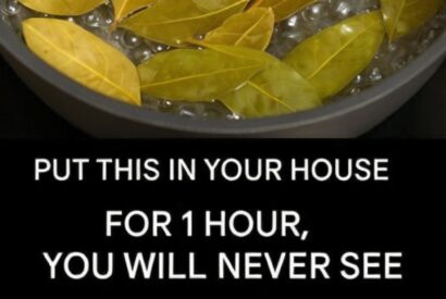 Thumbnail for Natural Spray for Flies & Cockroaches