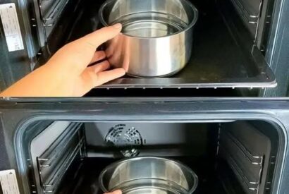 Thumbnail for Steam-Clean Oven “Recipe”