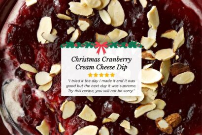 Thumbnail for 🍒 Festive Cranberry Dip